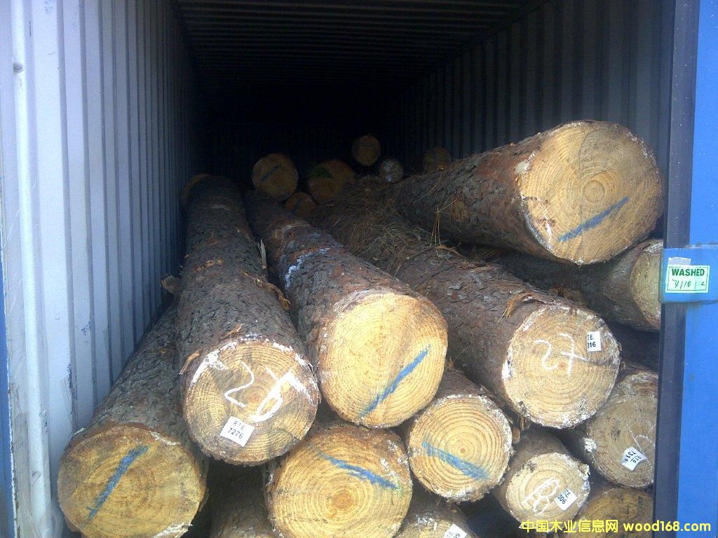 ��������ľ��Ԕ��(x��)��B