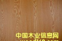 ���B(t��i)��(y��u)����Ԕ����B