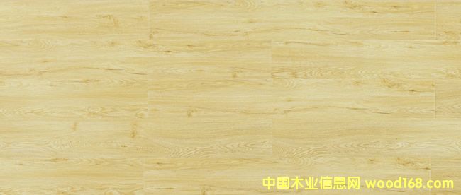 LX203-��ҹ���L(f��ng)-��(qi��ng)���ذ�