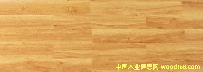 M-06С��Ĉ@��Ԕ����B