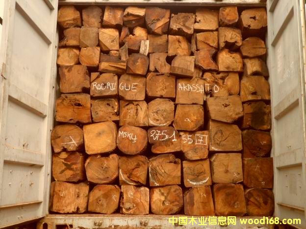 �������Ԕ��(x��)��B