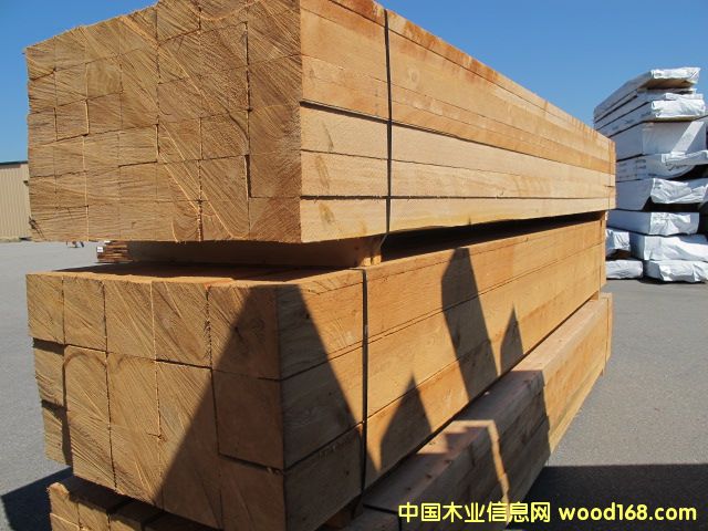 ���ô��FɼAPP��Ԕ��(x��)��B