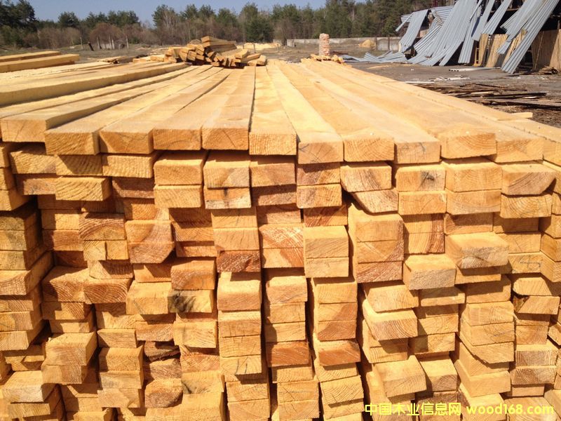 5x10��Ԕ��(x��)��B