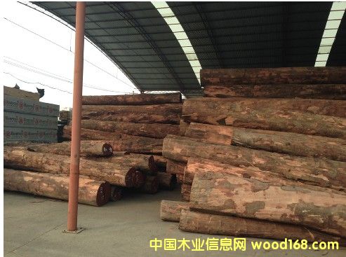 ���_�T(m��n)��̴��Tubi��