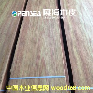 �S����ľƤ��Ԕ��(x��)��B