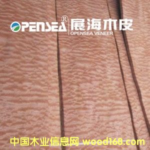 ����ɳ������Ԕ��(x��)��B