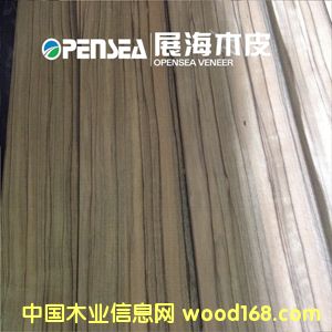 ��ľľƤ��Ԕ��(x��)��B