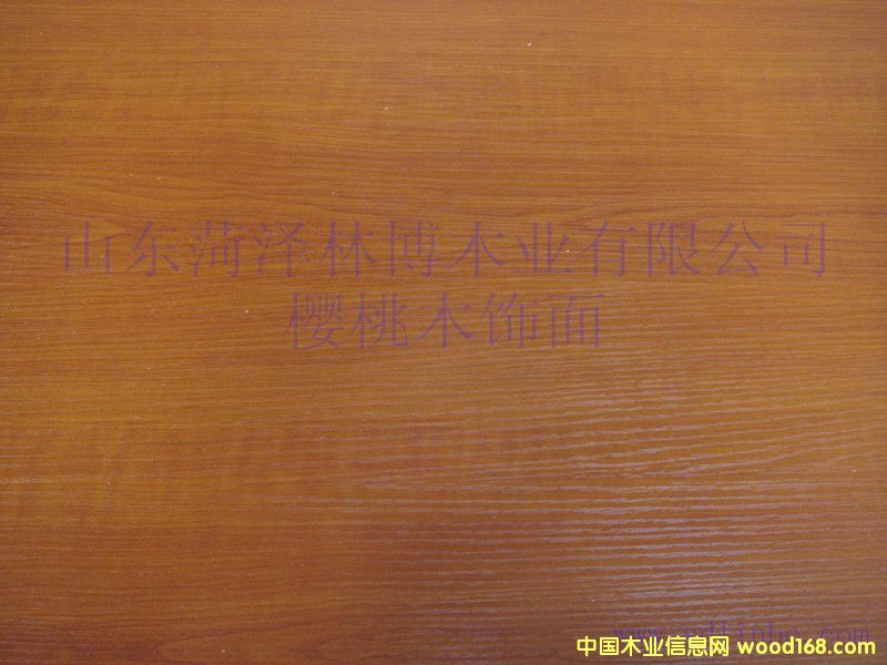 ���B(t��i)���Ԕ��(x��)��B