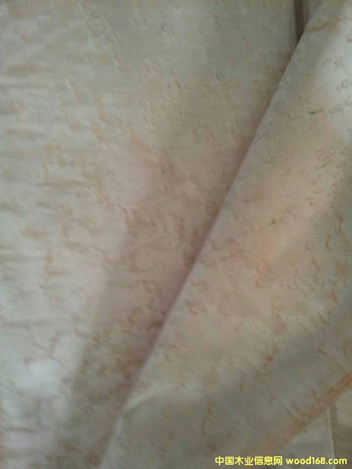 ��ľȸ��2��Ԕ��(x��)��B