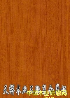 ������(f��)�φΰ��Ԕ����B