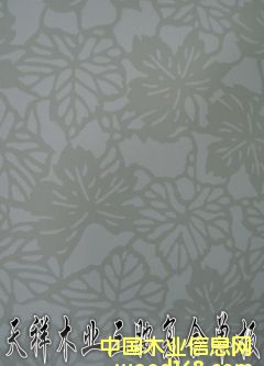 ������(f��)�φΰ��Ԕ����B