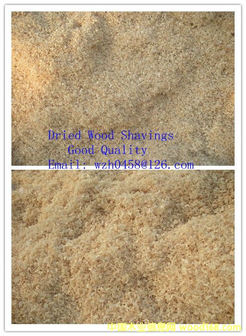 ���s�ٻ���Ԕ����B