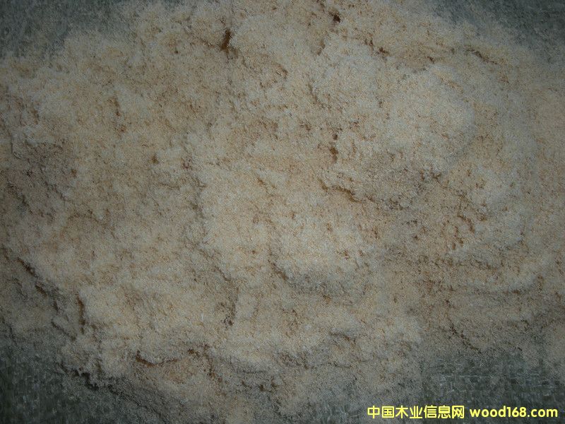 ���s�ĩ��Ԕ����B