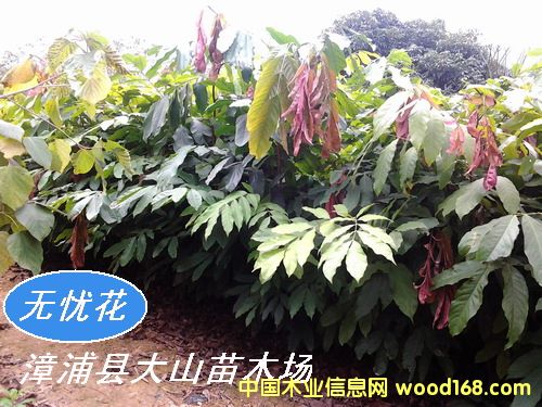 [��] �o�n�����o�n��������䣩