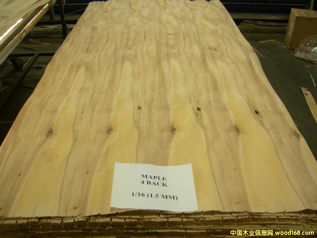 ��ľ�L�а��Ԕ��(x��)��B