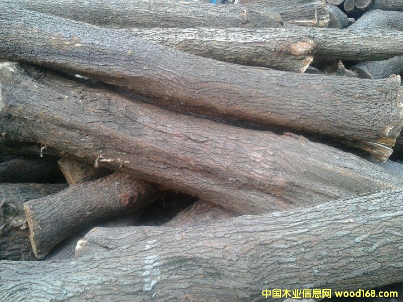 ɣ���Ԕ��(x��)��B