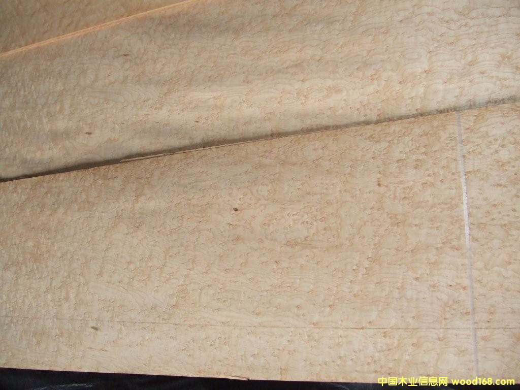 ��ľȸ��ľƤ��Ԕ��(x��)��B