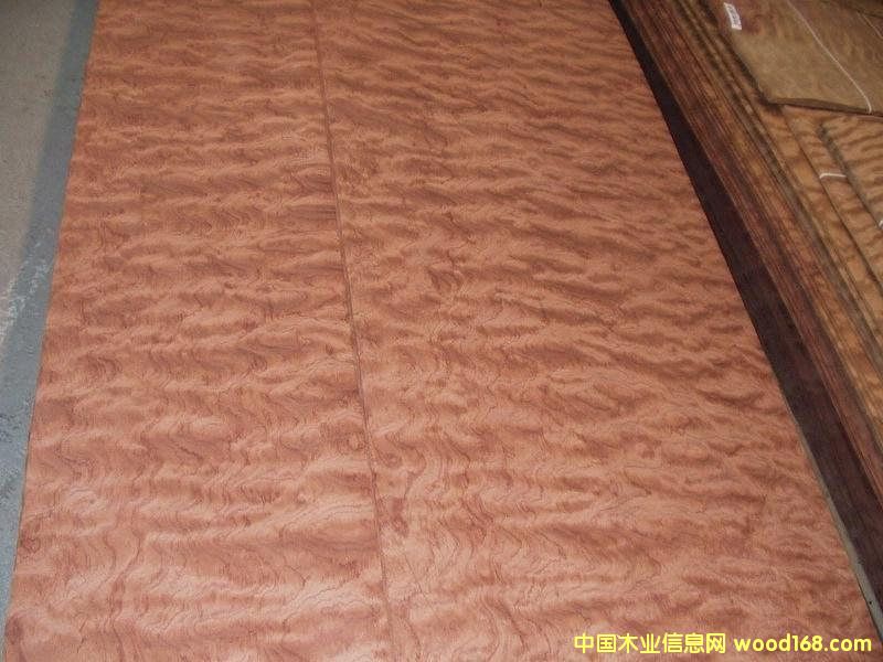 ���λ���ľƤ��Ԕ��(x��)��B