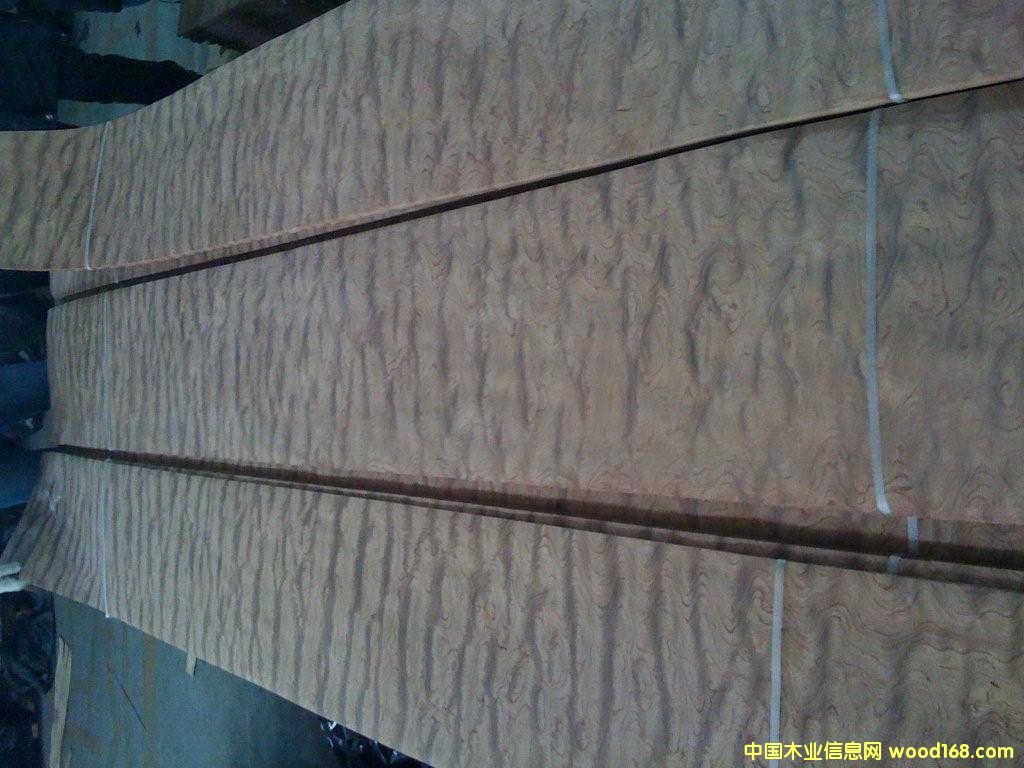 ���λ���ľƤ��Ԕ��(x��)��B