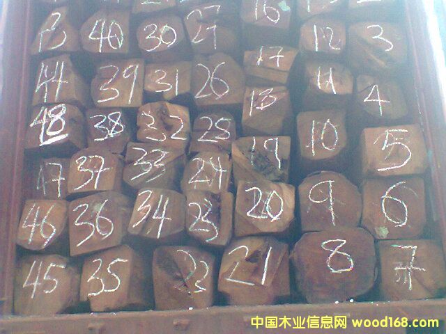 ������ľ��Ԕ��(x��)��B