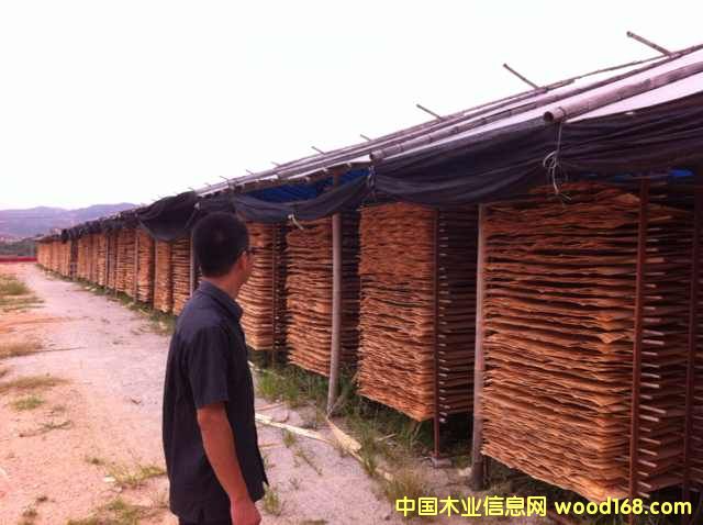 �M(j��n)����ľ���а� ��� ��Ƥ