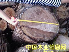 �t�İ�ľ��Ԕ����B