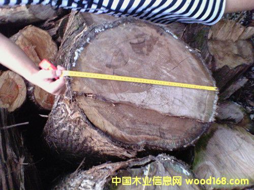 ֱ��30���ϵļt�İ�ľ