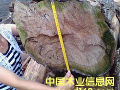 ���ľ��Ԕ����B