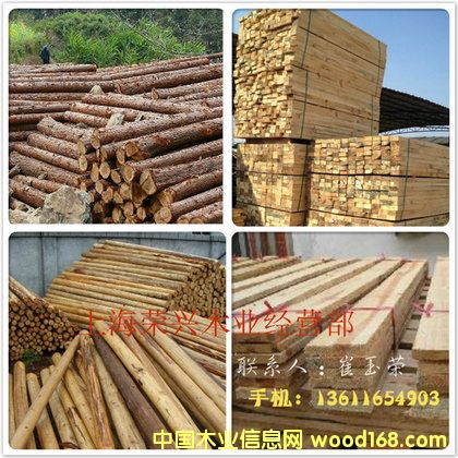 ɼľ/�G���U,��ɼľ��Ԕ��(x��)��B