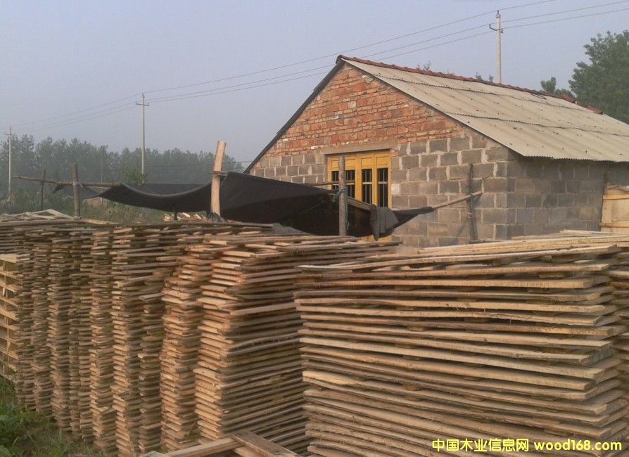 �c���鿴ľ��ĵ�Ԕ��(x��)�Y��