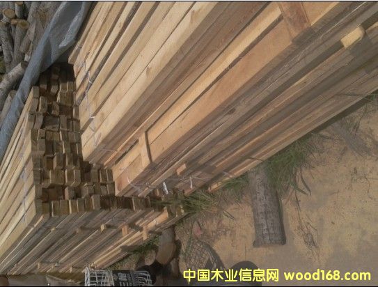 ľ����ľ�l����ľ��