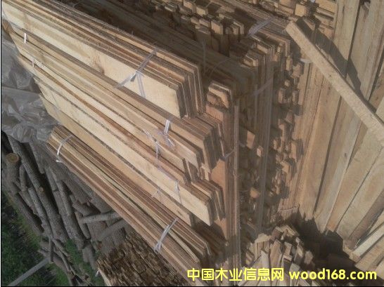 ��ľ�l����ľ��