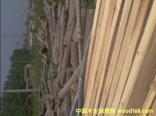 �c���鿴��ľ�����ľ�l��ľ���Ŵ�DƬ