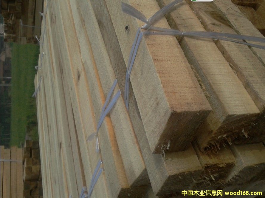 �c���鿴���ľ�������ľ�l��Ԕ��(x��)�Y��