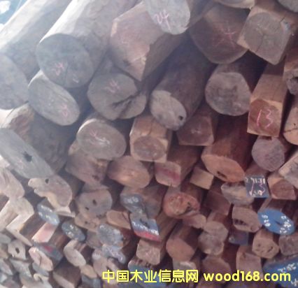 �ϓ��t��֦��Ԕ��(x��)��B