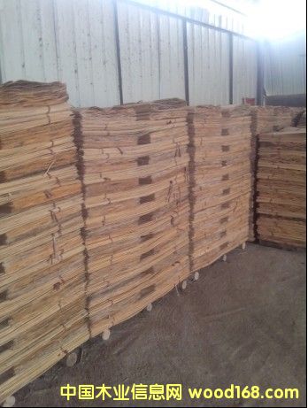 ��ľ�ΰ��Ԕ��(x��)��B