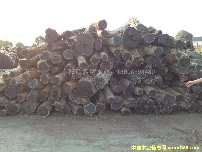 �Ϲ�̴(�|�Ǻ��S̴)1309-6��Ԕ����B