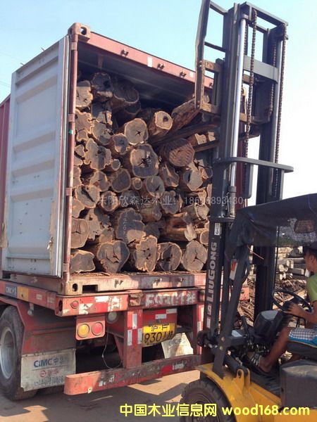 �Ϲ�̴(�|�Ǻ��S̴)1309-5��Ԕ����B