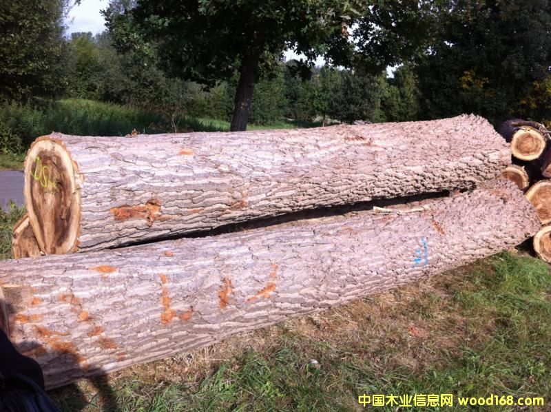 ��ľ��Ԕ��(x��)��B