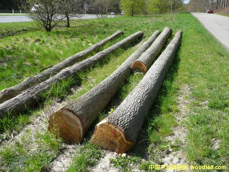 �����Ԕ��(x��)��B