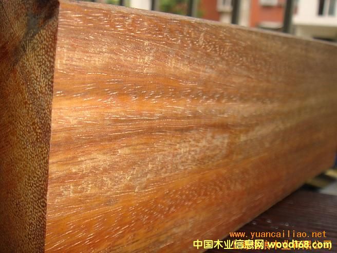 [��] ӡ�Ფ�}��