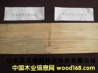 �бP�{(l��n)׃������