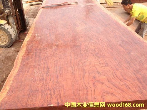 巴花的詳細(xì)介紹