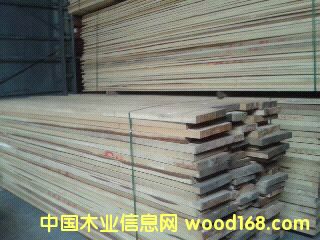 �����ɵ�Ԕ����B