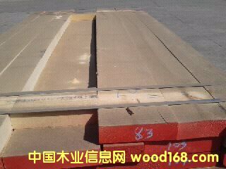 ��ľ��Ԕ����B