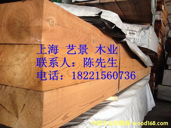 �tѩ�ɵ����c(di��n)�������Ԕ��(x��)��B