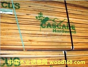 ���������Ԕ��(x��)��B