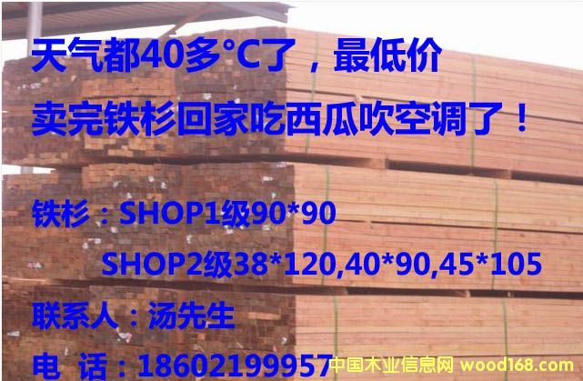 �FɼSHOP1��Ԕ��(x��)��B