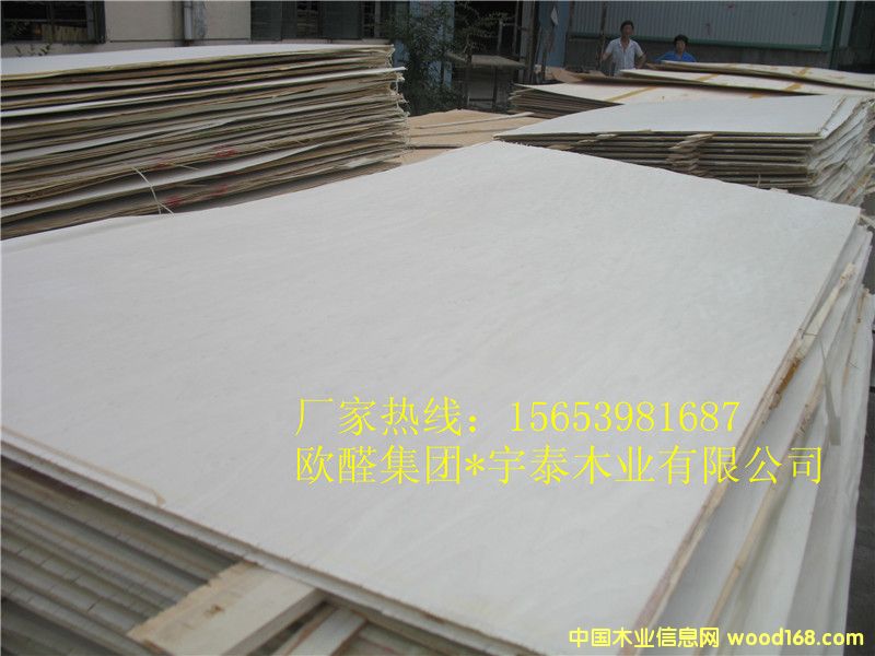 ��ľ�z�ϰ���Ӱ� �ט�/�����Ԕ��(x��)��B