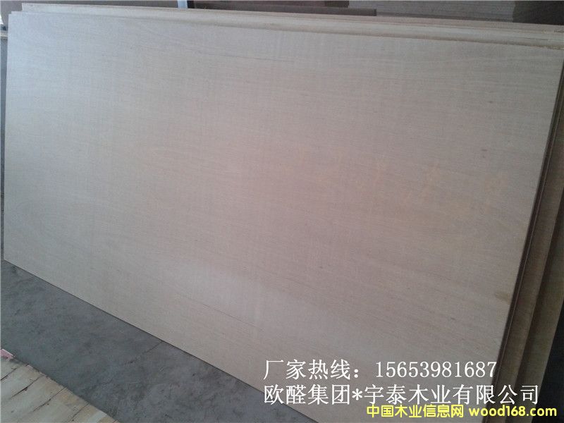 ɽ����׶����z�ϰ��Ԕ��(x��)��B